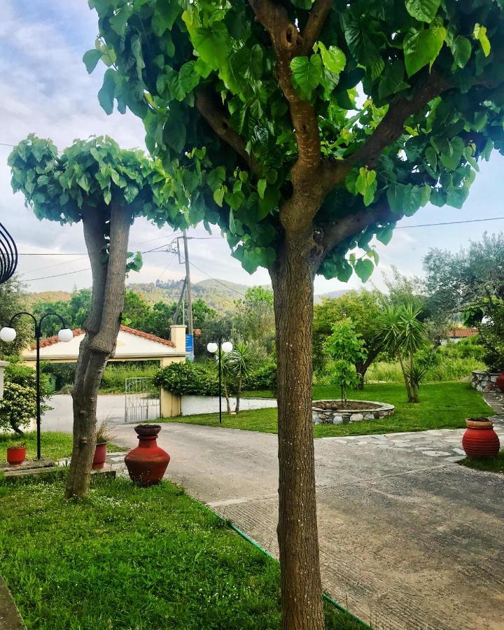Pansion Episkopi Studios Città di Skopelos Esterno foto