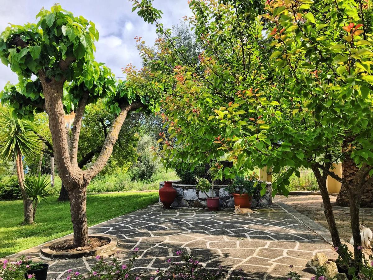 Pansion Episkopi Studios Città di Skopelos Esterno foto