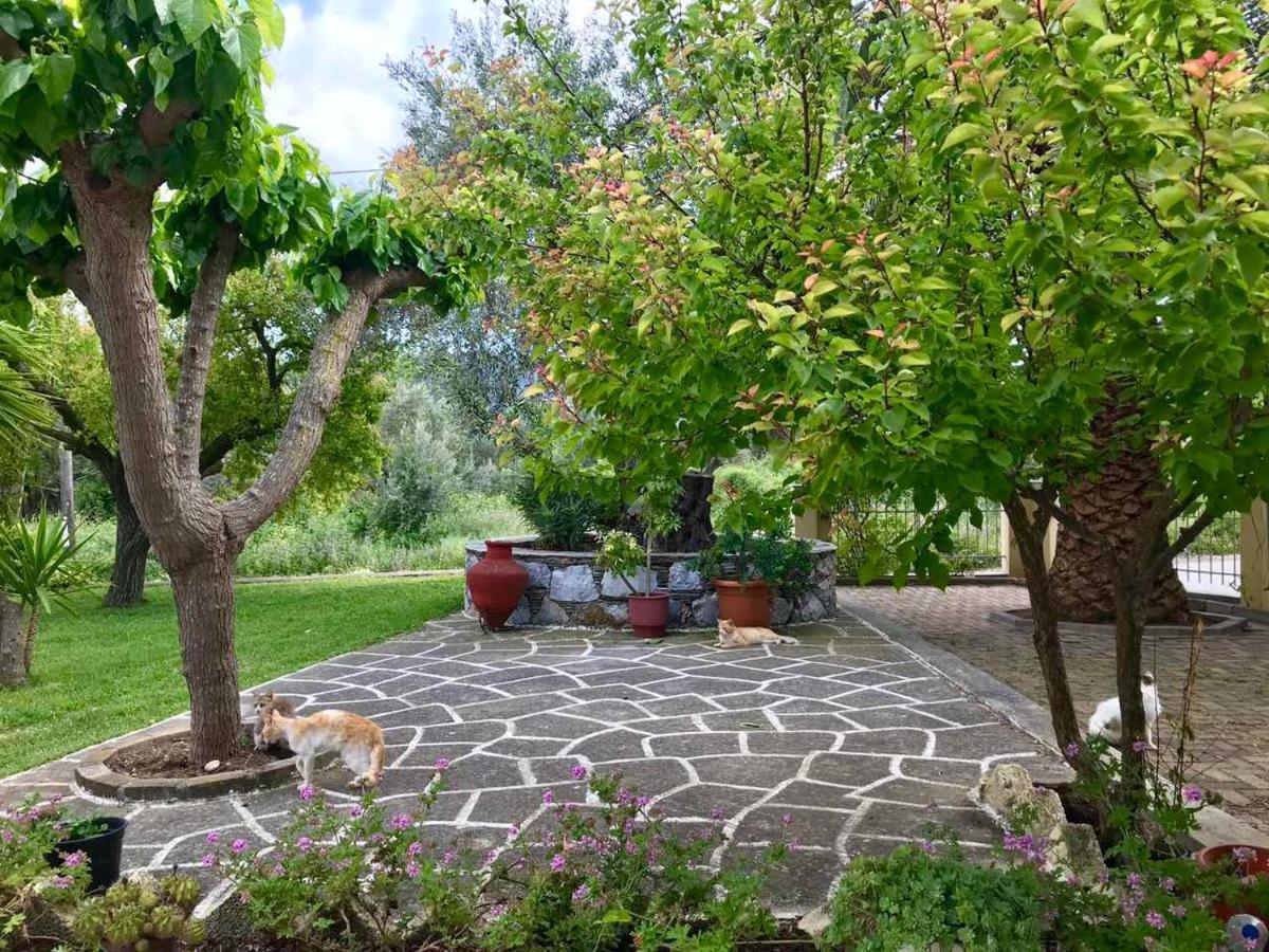 Pansion Episkopi Studios Città di Skopelos Esterno foto