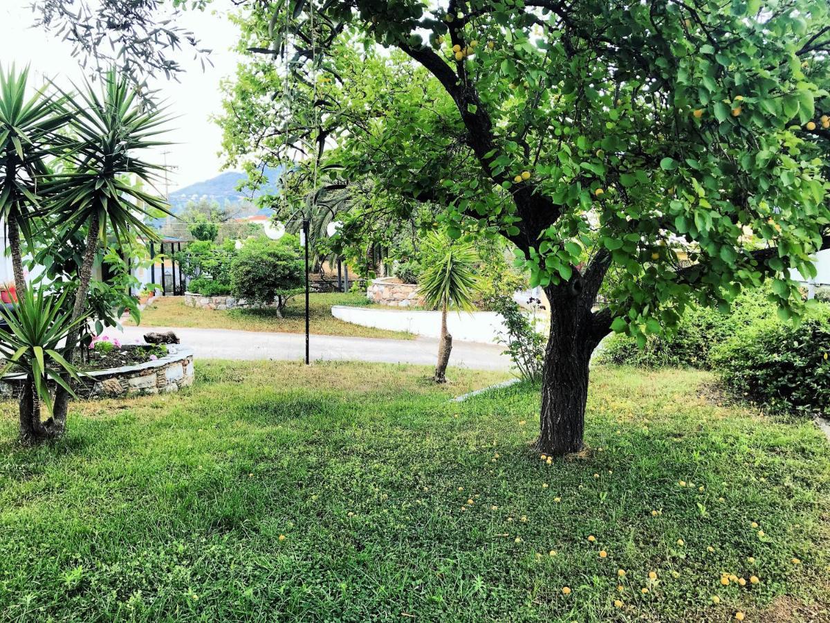 Pansion Episkopi Studios Città di Skopelos Esterno foto