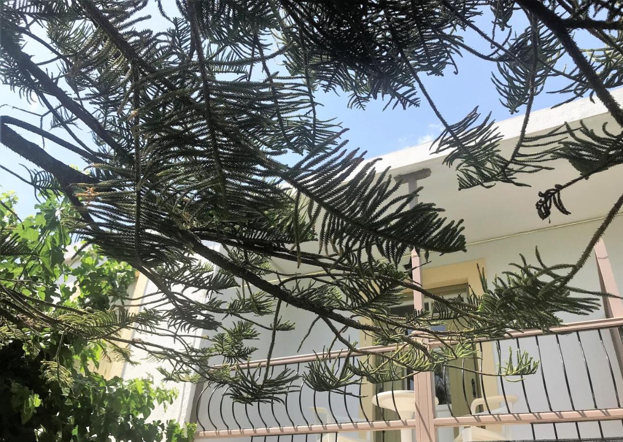 Pansion Episkopi Studios Città di Skopelos Esterno foto