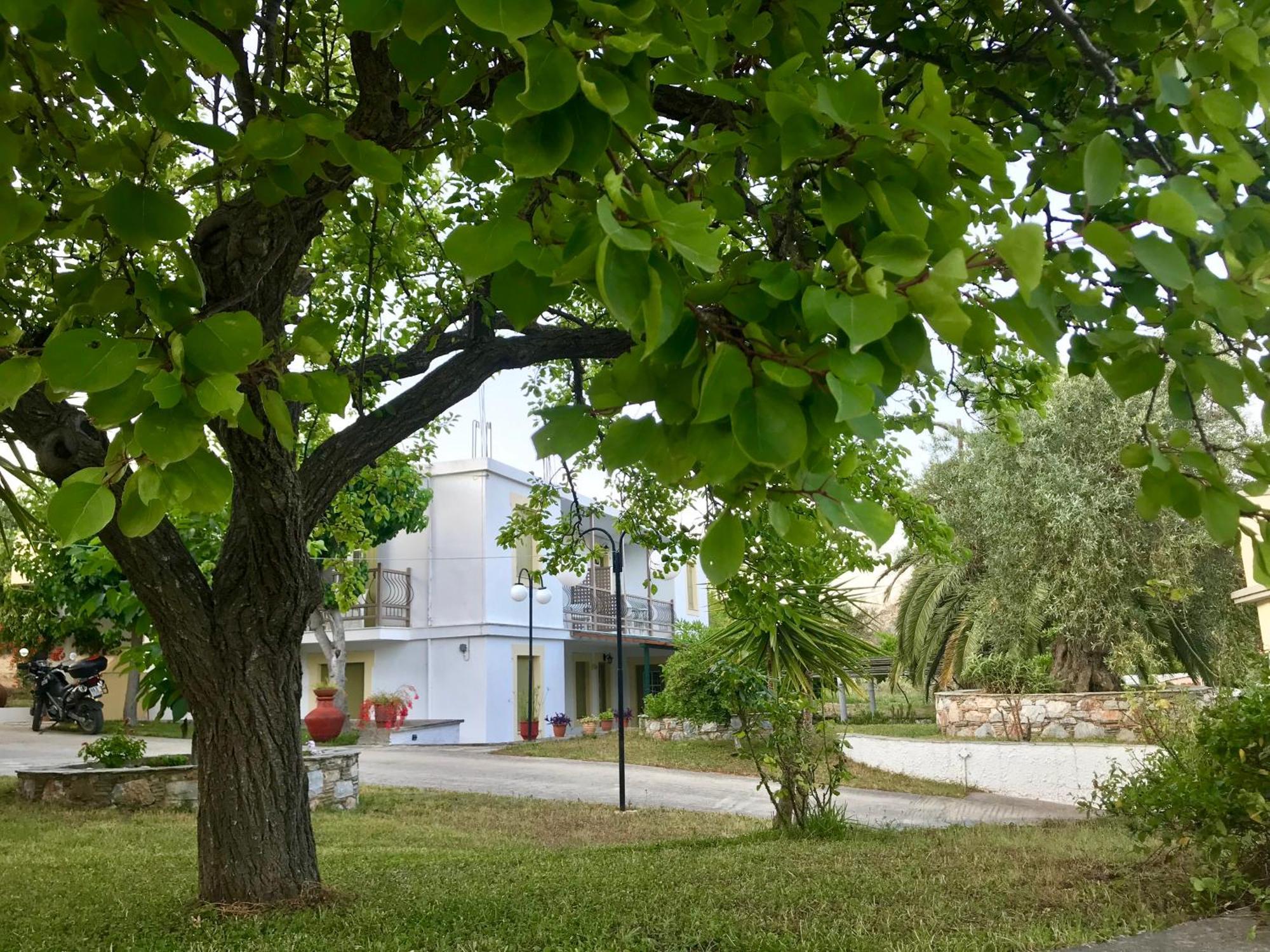 Pansion Episkopi Studios Città di Skopelos Esterno foto